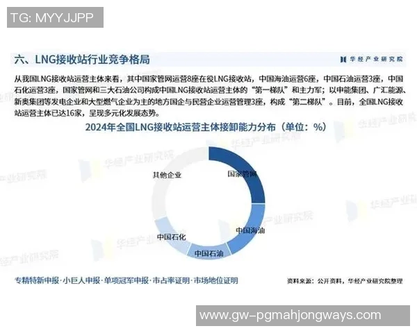 2026电竞新闻城市赛特别报道LNG产业崛起的成长历程与未来展望